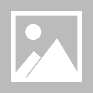 九州娱乐VIP-关于霞尔尼固队表现出色，客场战胜梅斯队的信息